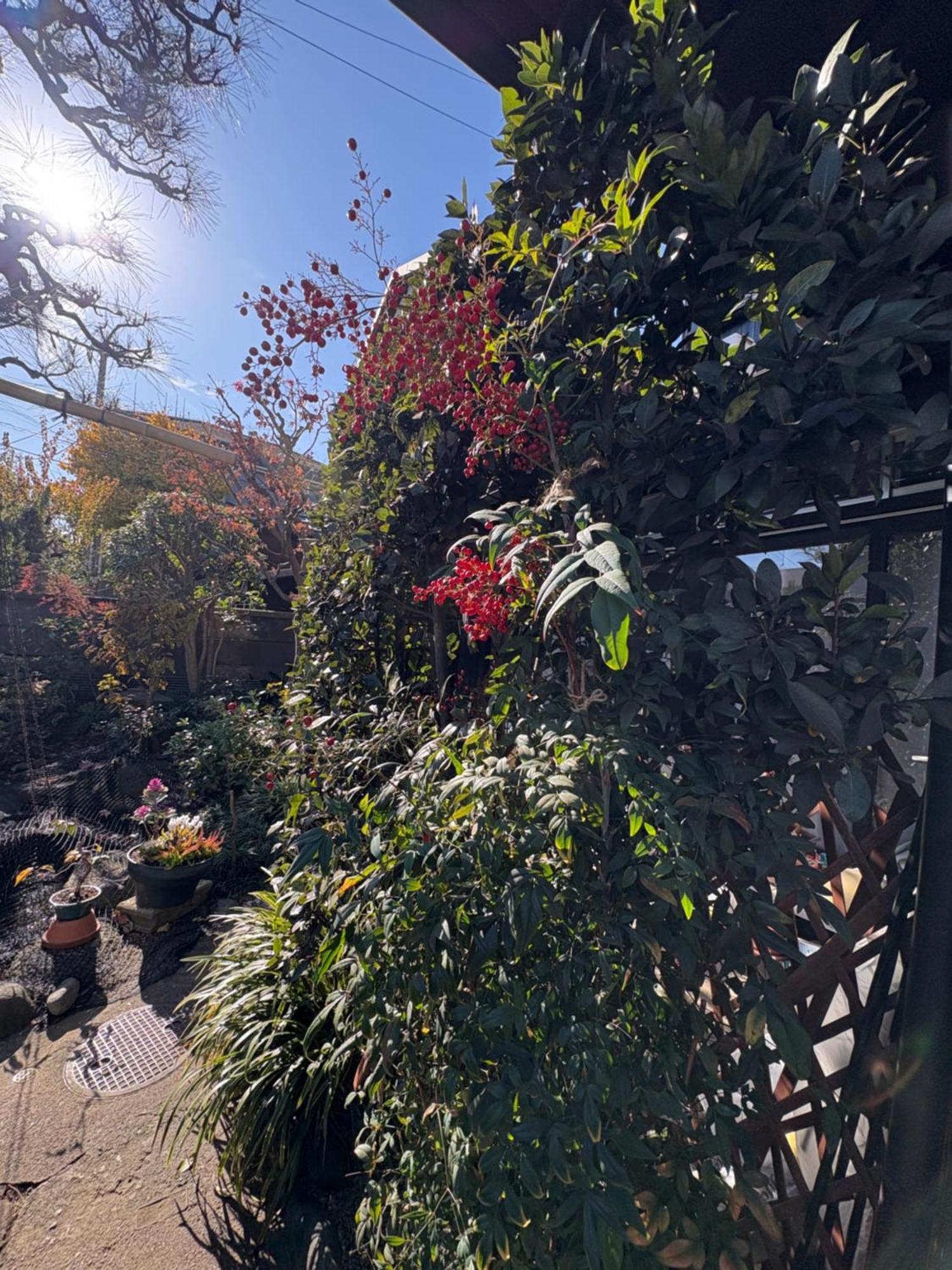 Kitazawa Cozy House Hotel Tokyo Exterior photo