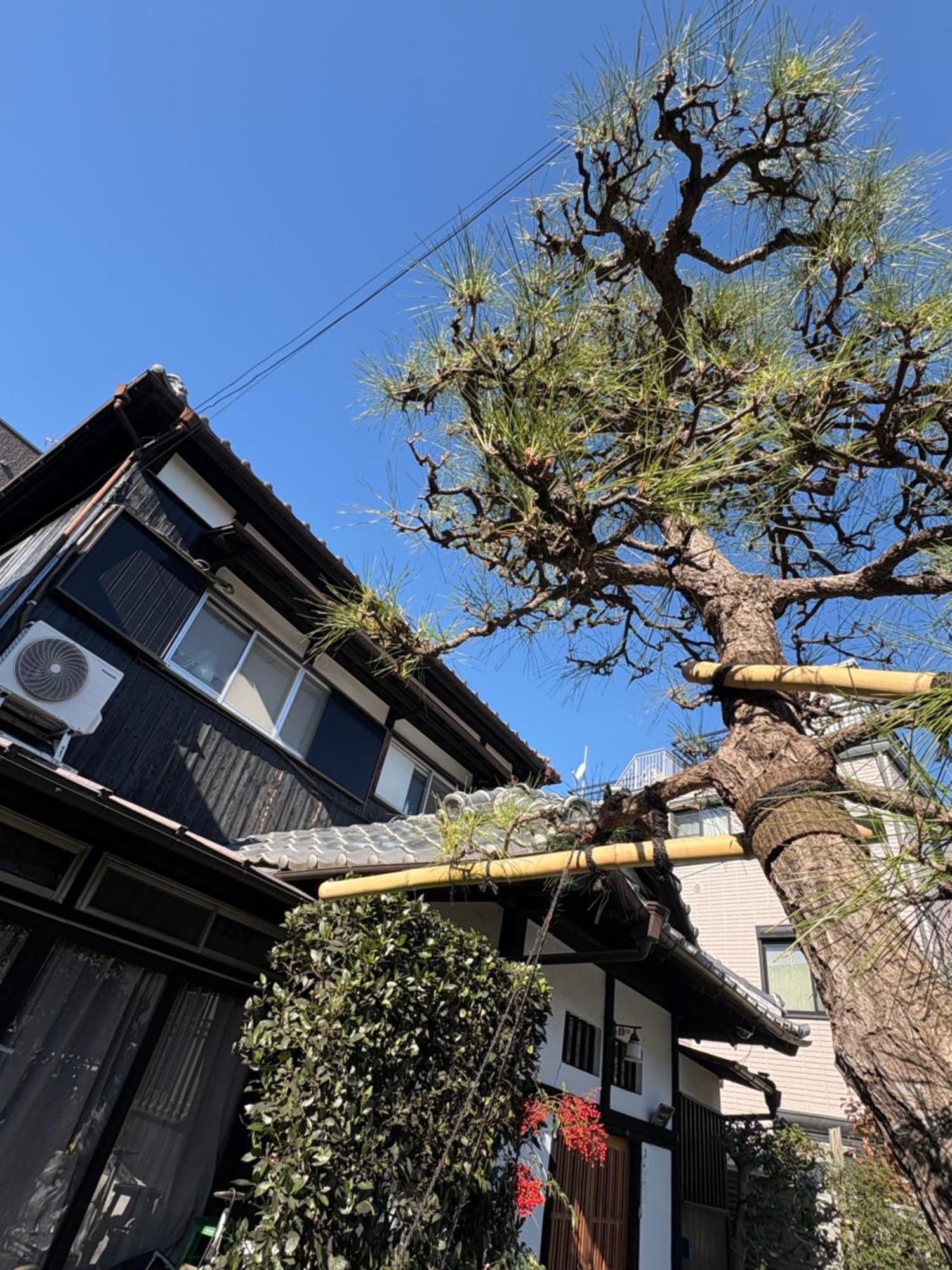 Kitazawa Cozy House Hotel Tokyo Exterior photo